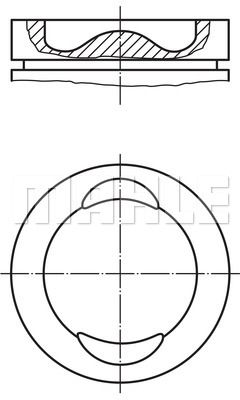 WILMINK GROUP Männät WG1211897